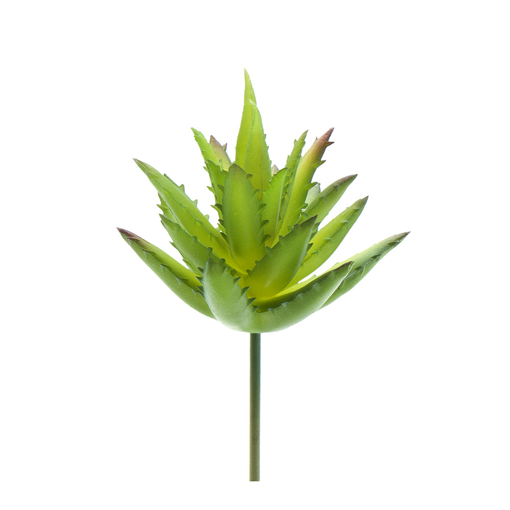 Green Artificial Aloe