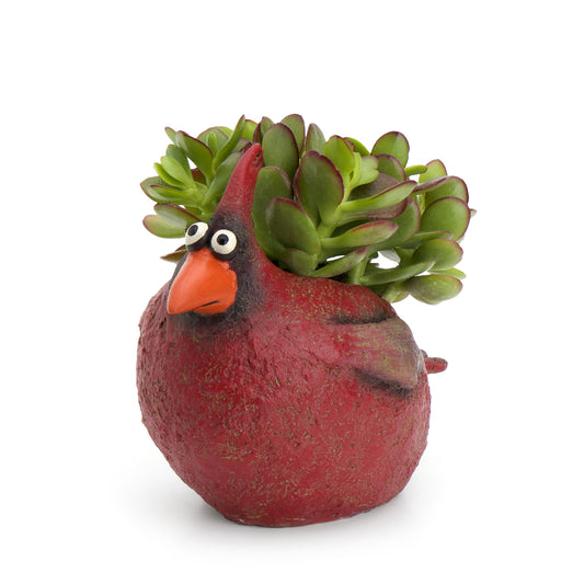 Red the Cardinal Planter
