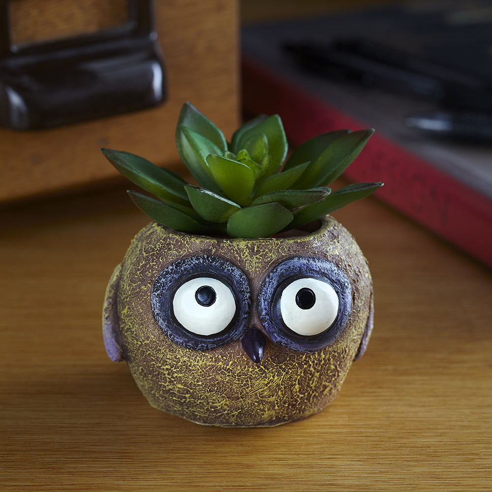 Olive the Baby Yellow Owl Planter