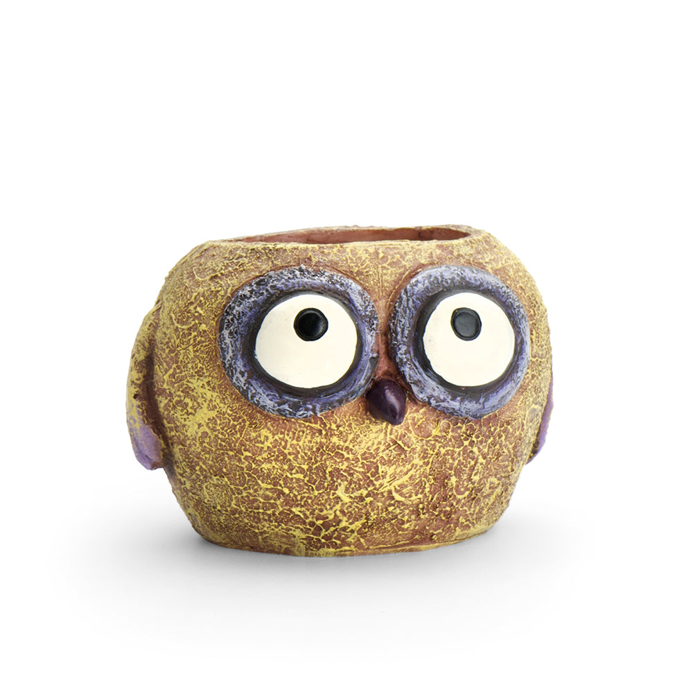 Olive the Baby Yellow Owl Planter