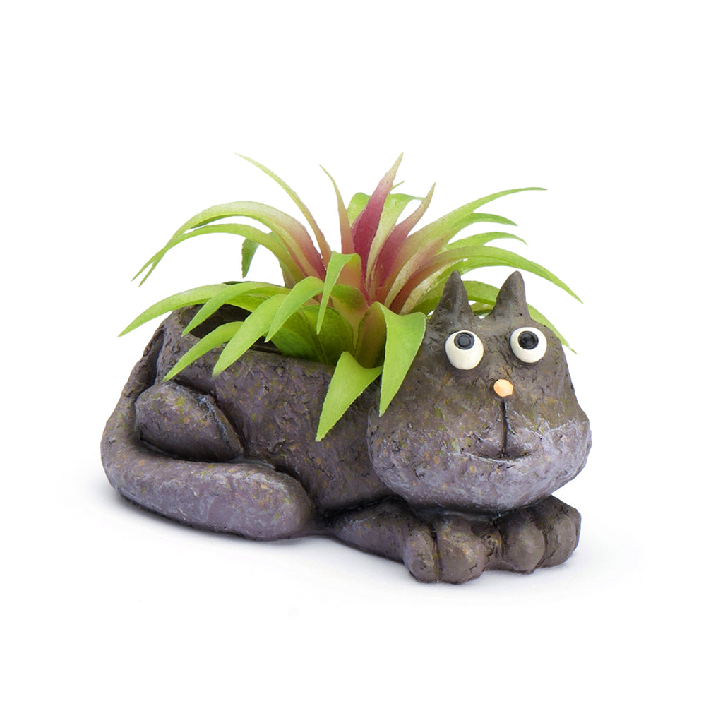 Baby Violet the Cat Planter