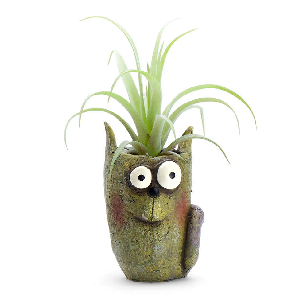 Walley the Cat Bloomies Planter