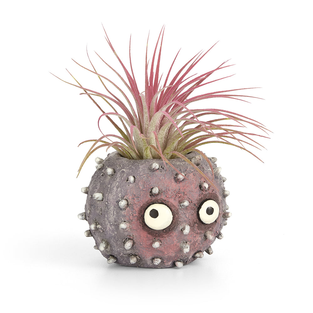 Uni the Urchin Planter