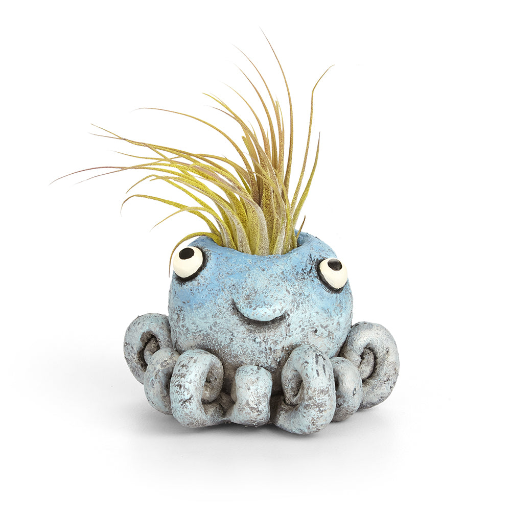 Inky the Octopus Planter